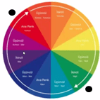 tamamlayıcı renk çarkı