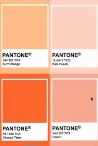 Pantone turuncu